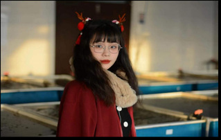 豪龙彩票