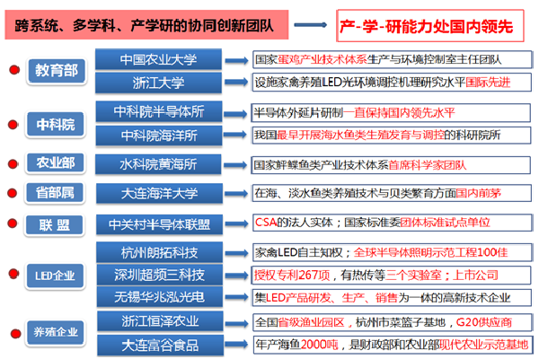 豪龙彩票