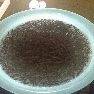豪龙彩票