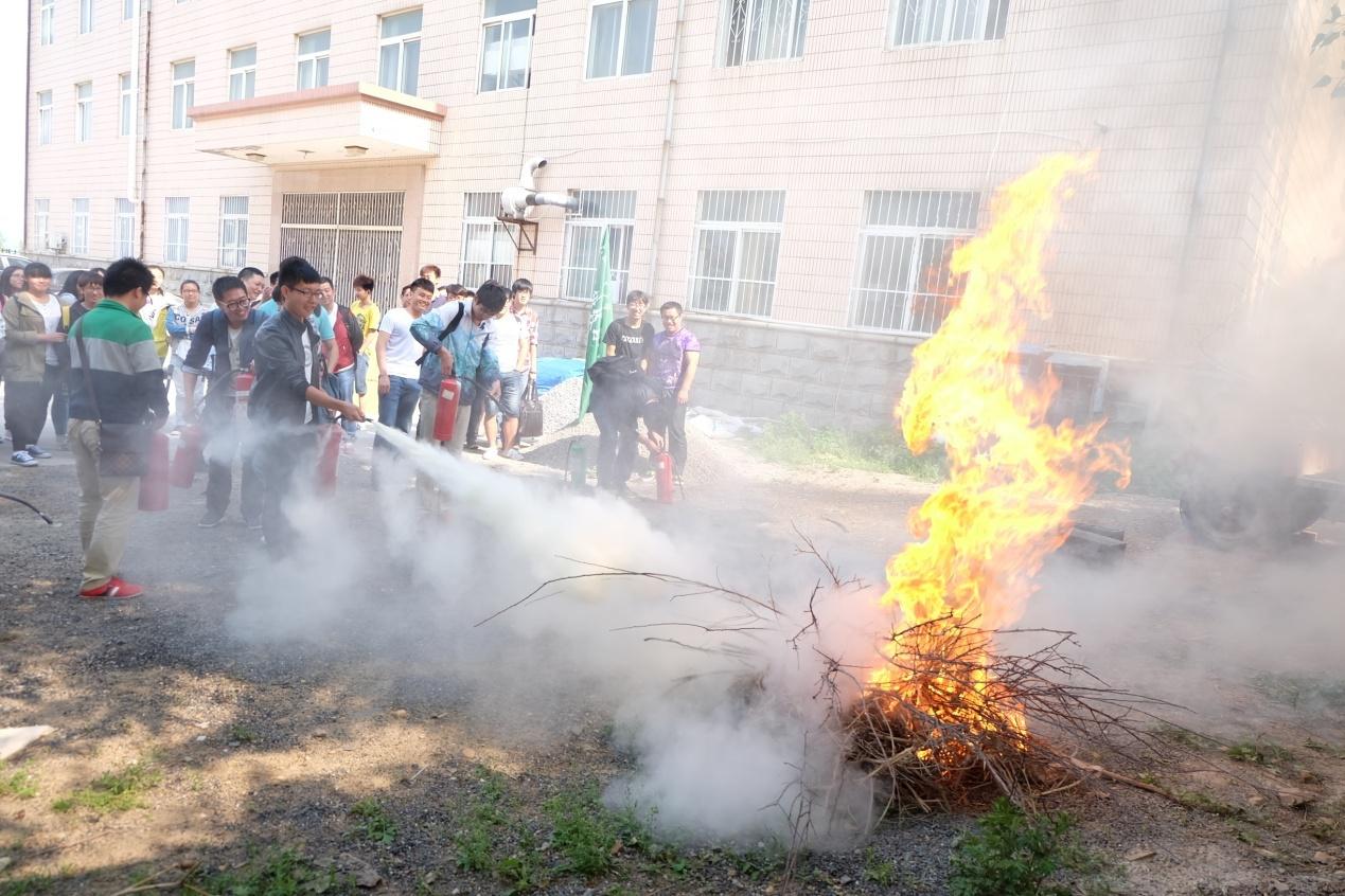 豪龙彩票