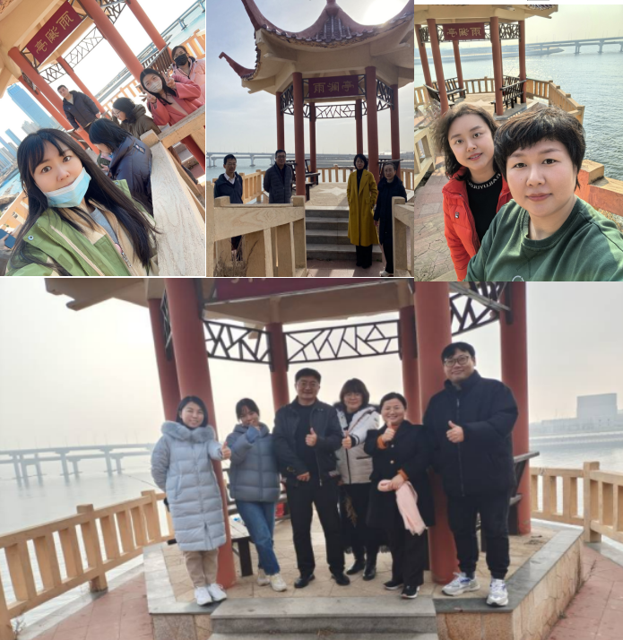 豪龙彩票