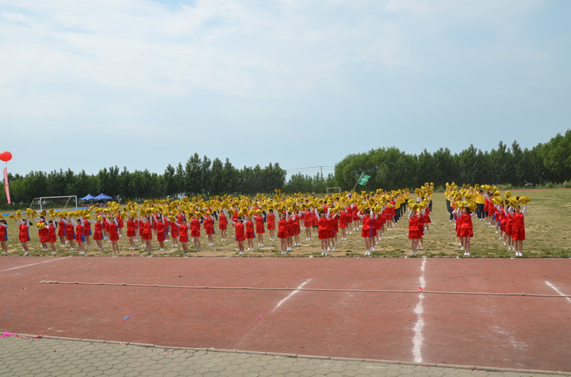 豪龙彩票